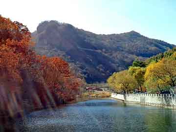 新澳天天开奖资料大全旅游团，耐高温密封圈